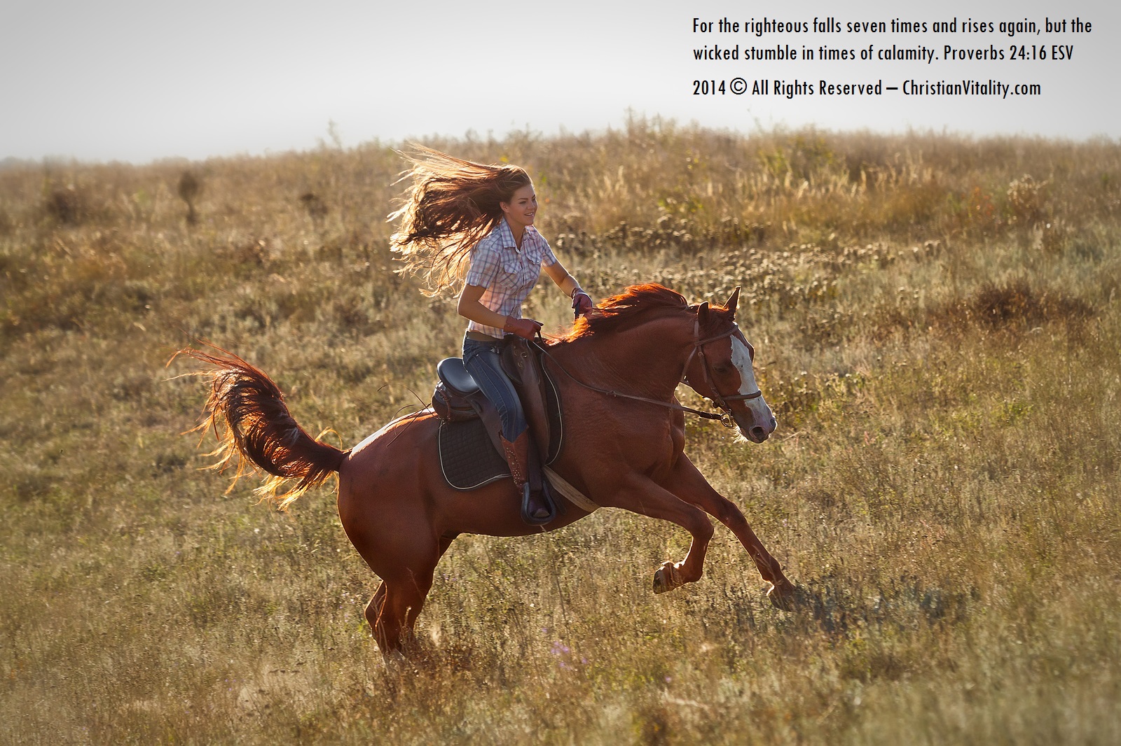 Мы вновь ехали на лошадях и любовались. Рыжая девушка на лошади. Верхом на коне в поле. Девушка едет на коне. Езда в полях на лошади.